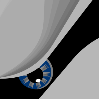 soerendknoob's emblem