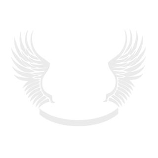 _Sch00lB0y_86's emblem