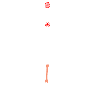 zbottoni's emblem