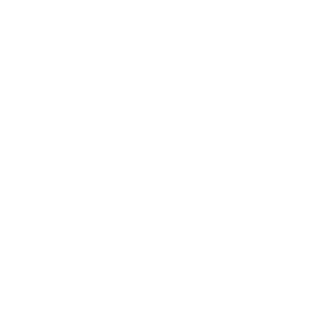 SUD Bond 007's emblem