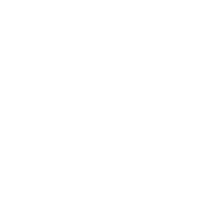 BsgRamon's emblem