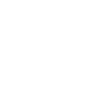 Brlee87's emblem