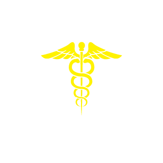 LARISSA SIX6's emblem