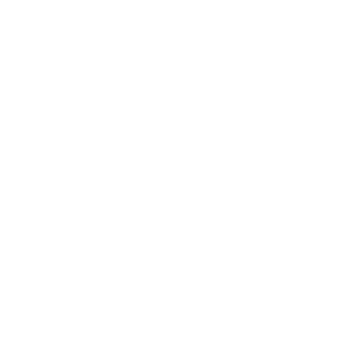 HersheySquirtles's emblem