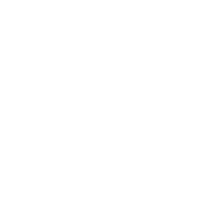Flandy85's emblem