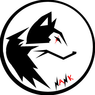 No Aim No kill's emblem