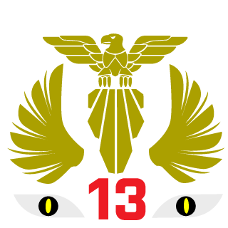 Mr_Shora's emblem