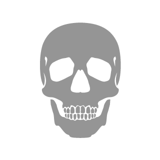 xxflaMixx's emblem