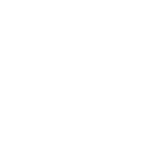 POWER_HARDNOOD's emblem
