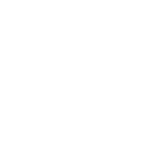 -SAC-SPA911's emblem