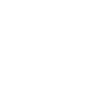 177-95reg's emblem