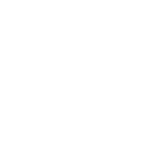 -MrSpoonWet-'s emblem