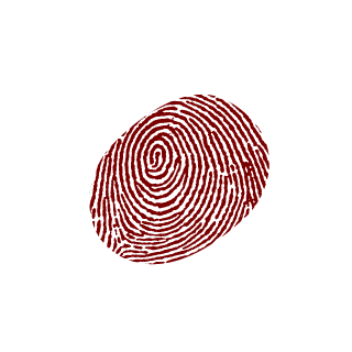 kurwiklak16's emblem