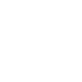 FloFromProg's emblem
