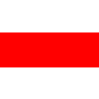 PartisanBelarus's emblem