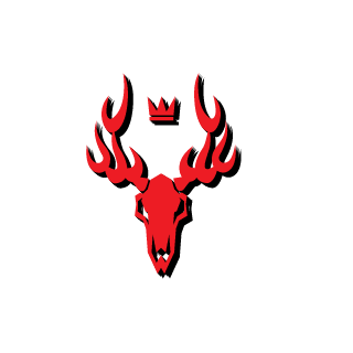 DARK SPARTAN920's emblem