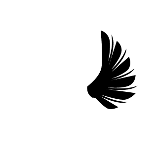 Voidn604's emblem