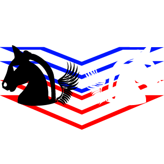 1995Eagles's emblem