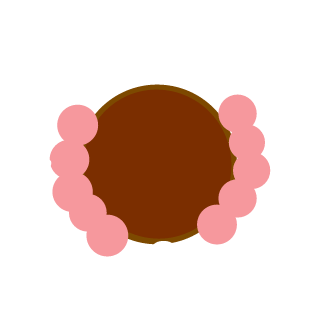 13x144's emblem