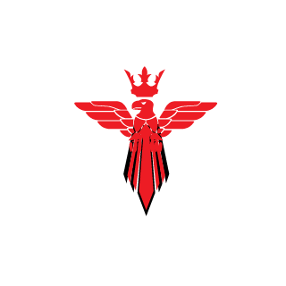 0SkRePa0's emblem