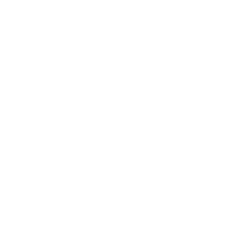 TIF-Sky's emblem