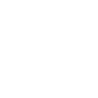 ProMoldova1ST's emblem