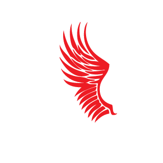 Nikolaich5453's emblem