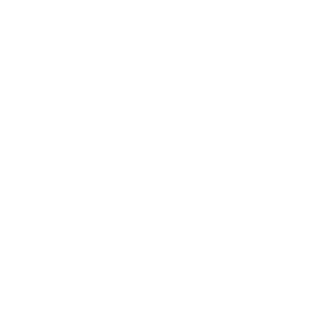 fallenriser's emblem