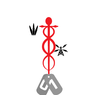 gamingfox93's emblem