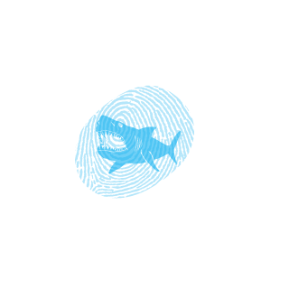 Sunnybaidandan's emblem