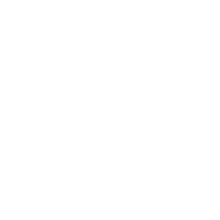 larswallins's emblem