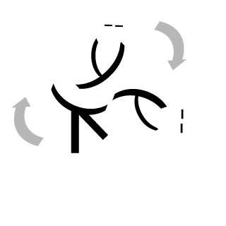 Crazy_Jacare's emblem