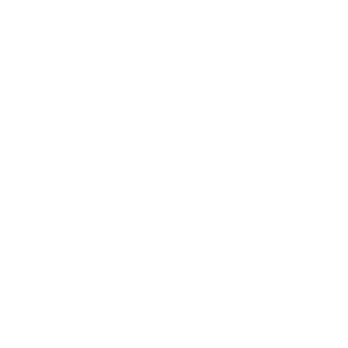 PUN1SH3R's emblem