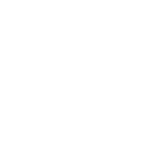 BigXD21's emblem