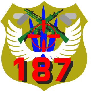 187MantroniX187's emblem