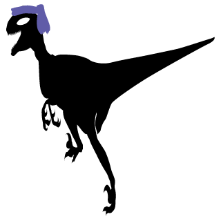 _Kynitcaa_'s emblem