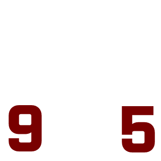 that95dude's emblem