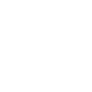 2ndZhiZhang's emblem
