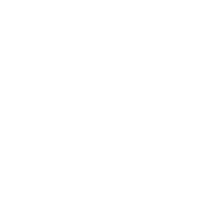 iZapBox's emblem