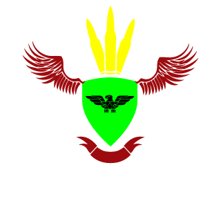 Ninjip1's emblem
