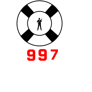 Taisho56's emblem