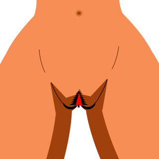 PIKACILINA's emblem