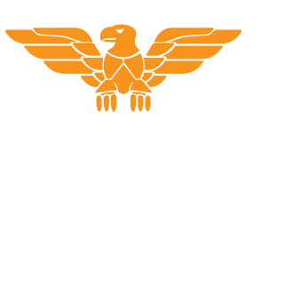 1KillerNoobs1's emblem
