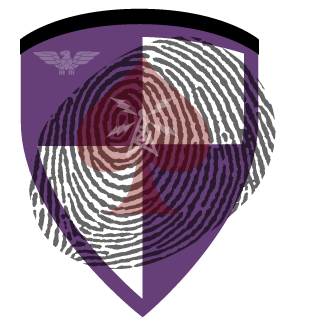 Tynd4llEffekt's emblem