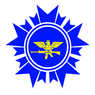 PANZERSEVERO's emblem