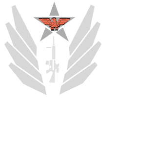 porschedrifter's emblem