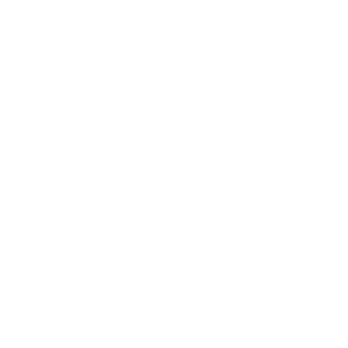 Sl0wm0_2142's emblem