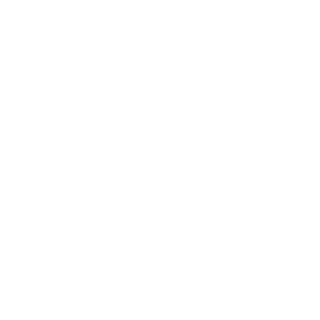 MistaBrobot's emblem