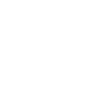 DZITOE's emblem