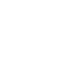 Skywlkn's emblem